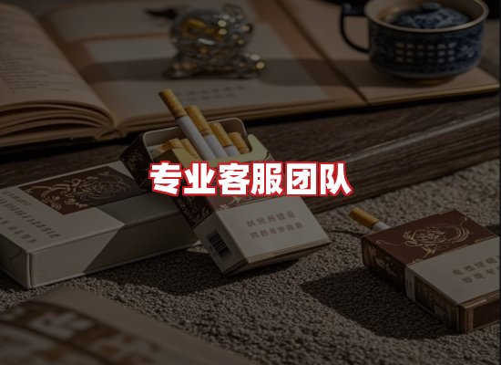 专业团队